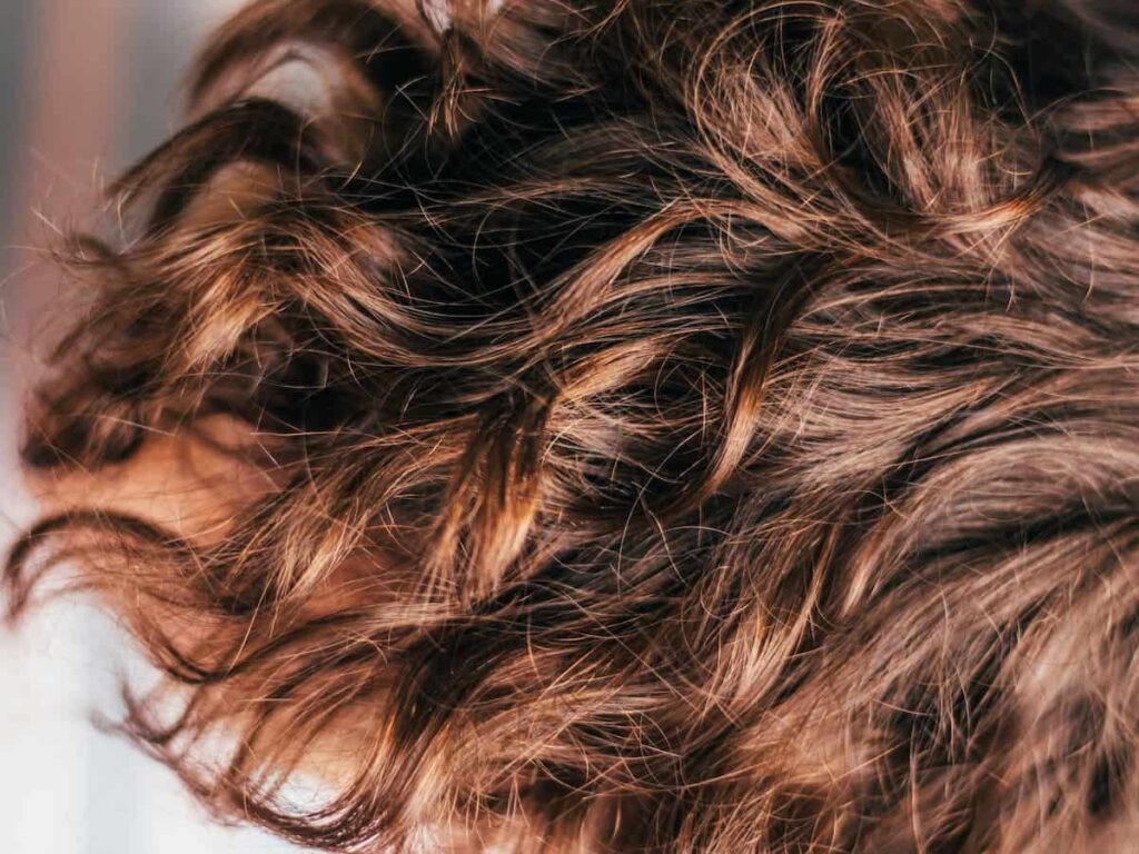 hair symbolizing lice