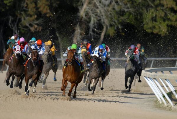 race horses run around a track in the a large group during a competitive race