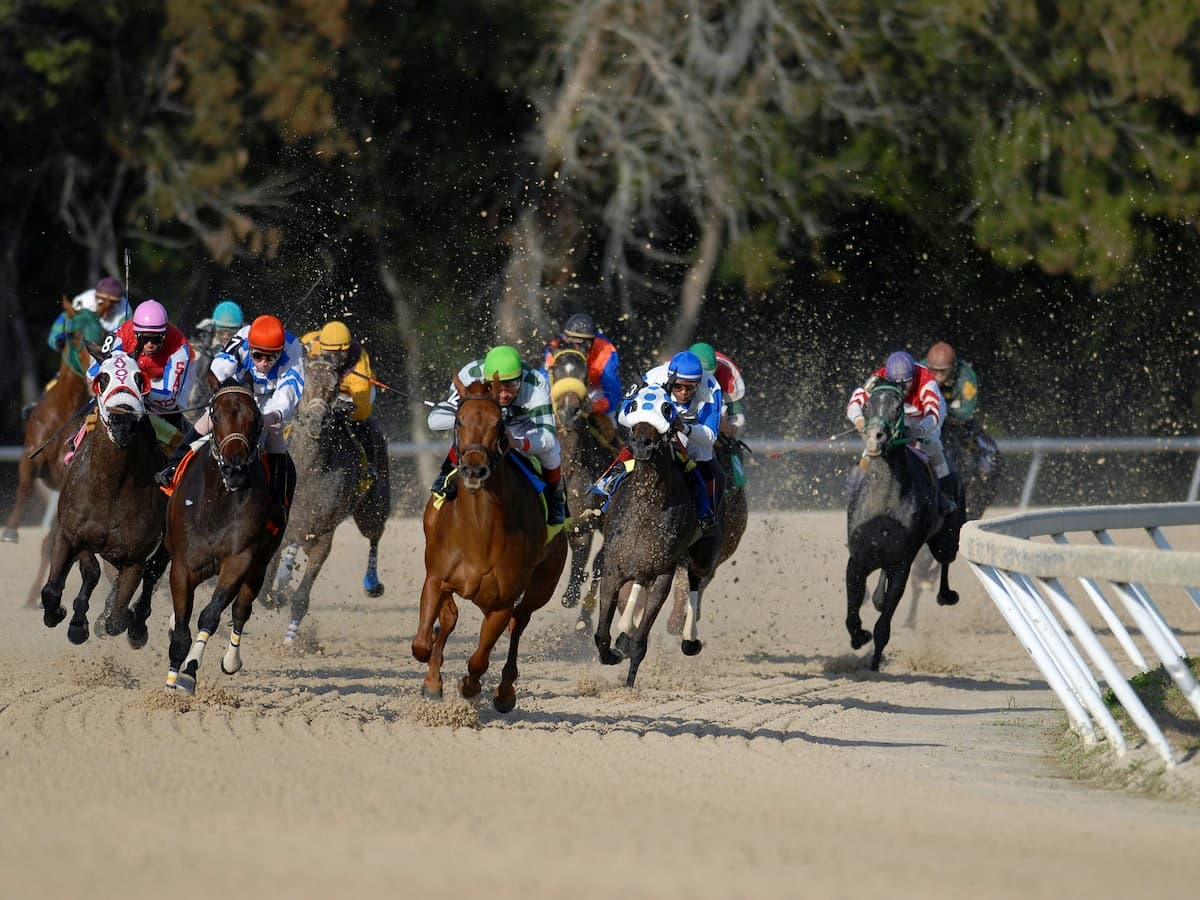 Which Horses Have Won the Triple Crown?