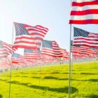 american flags on a lawn to celebrate a federal holiday memorial day or labor day